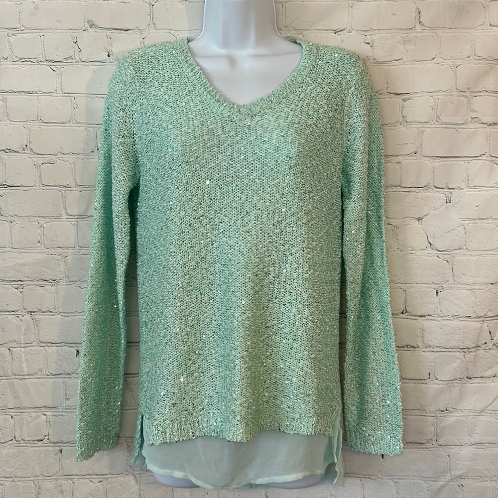 Apt 9 moonlight jade sequin sweater-M